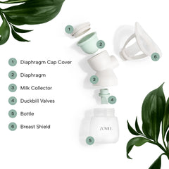 Zomee Bundle