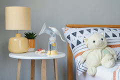 Medela Harmony Manual Breast Pump